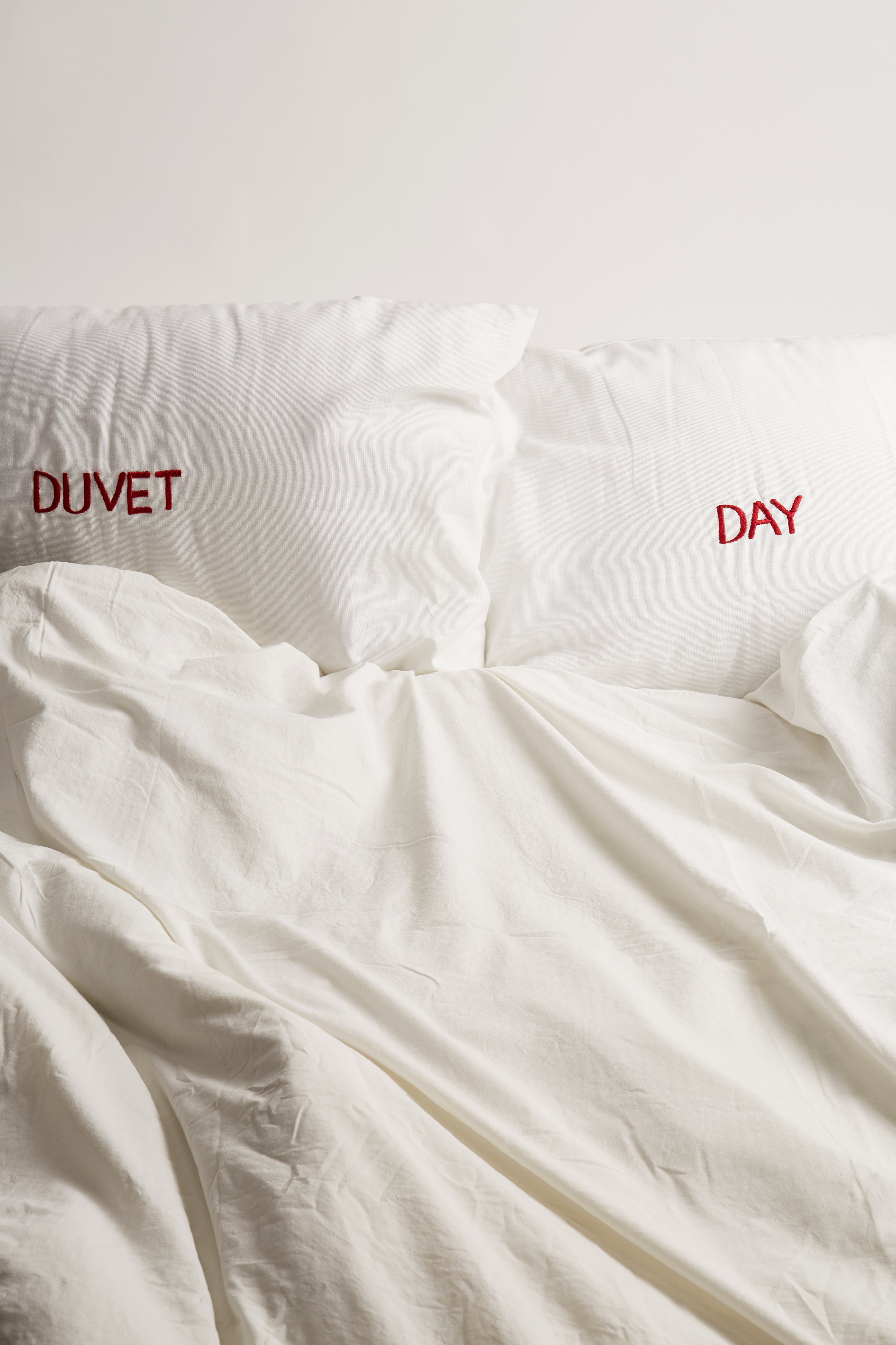 Duvet - Day Pillow Cases