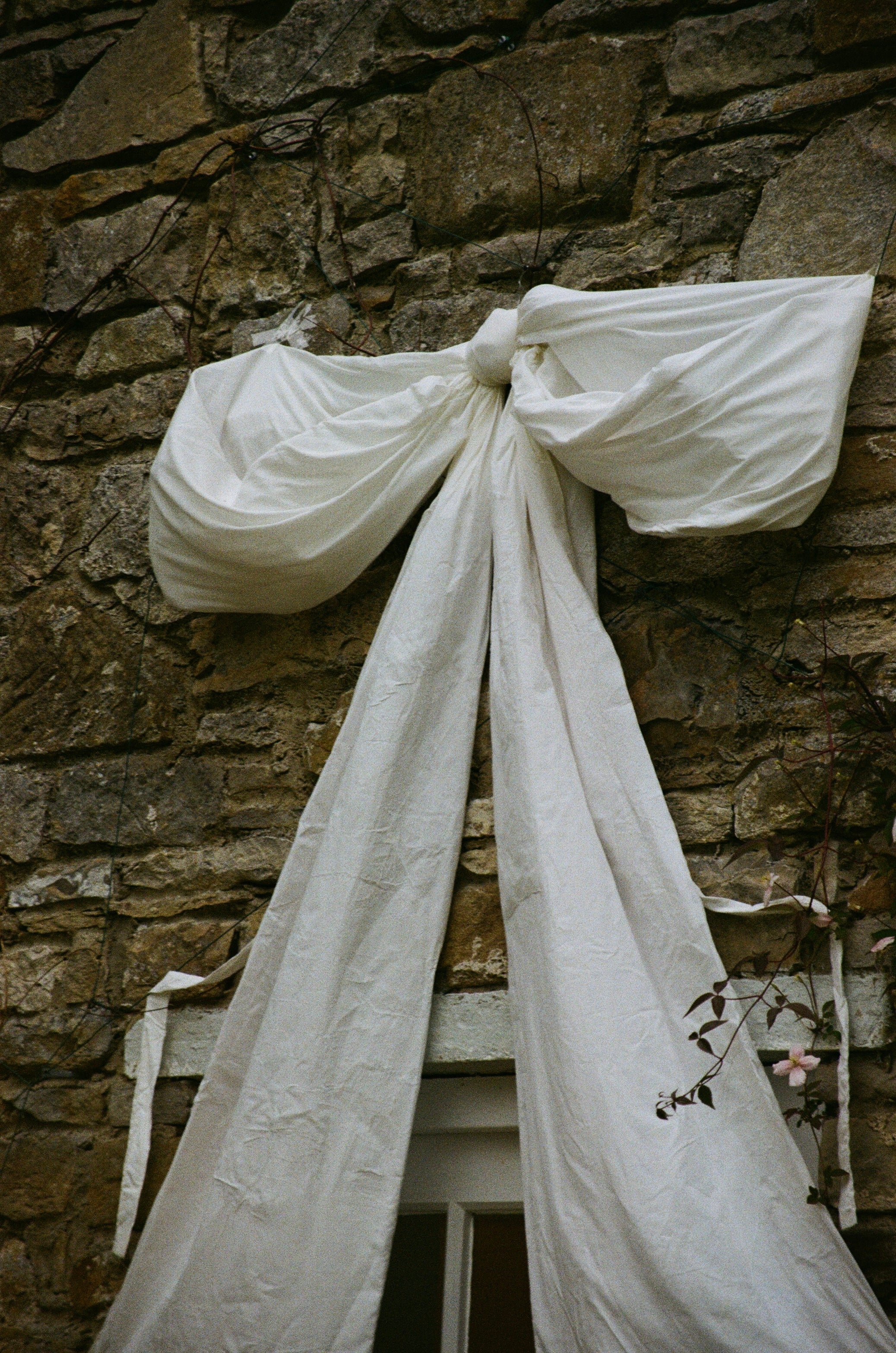 Colossal Trailing Bow