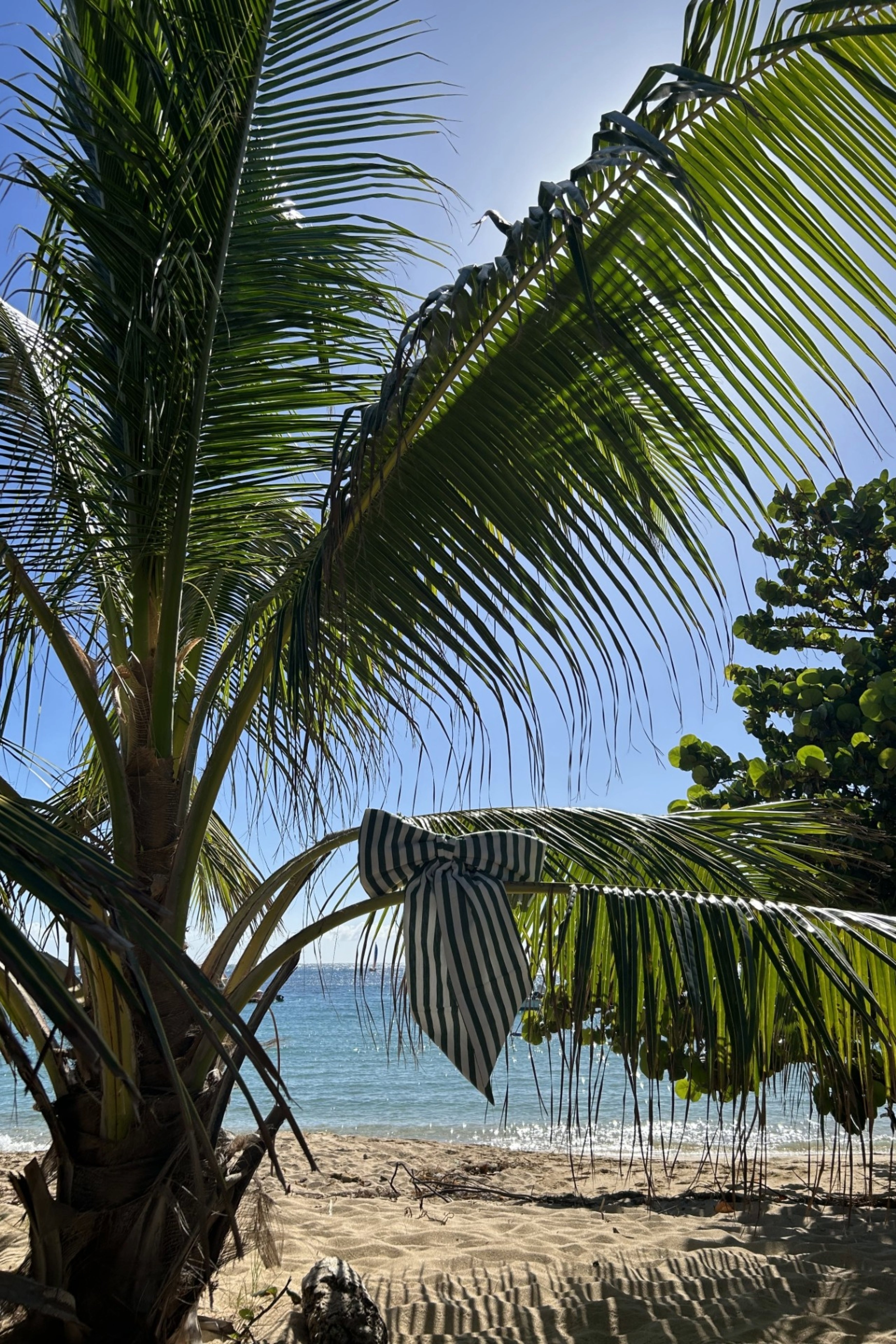 Oversized Striped Green & White Bow